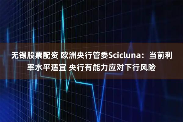 无锡股票配资 欧洲央行管委Scicluna：当前利率水平适宜 央行有能力应对下行风险