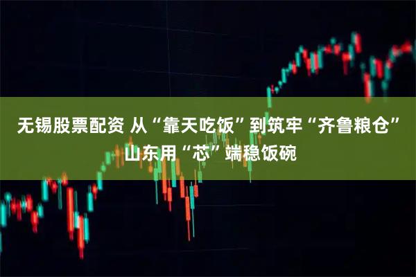 无锡股票配资 从“靠天吃饭”到筑牢“齐鲁粮仓” 山东用“芯”端稳饭碗
