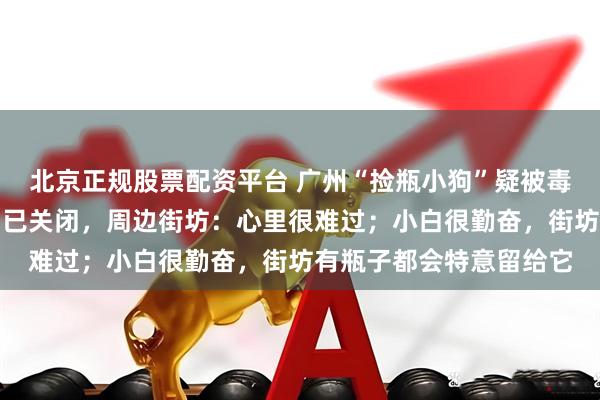 北京正规股票配资平台 广州“捡瓶小狗”疑被毒狗团队盯上，目前档口已关闭，周边街坊：心里很难过；小白很勤奋，街坊有瓶子都会特意留给它